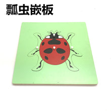 13a4df2bc1315d8da5a2d0f1270f3ae3