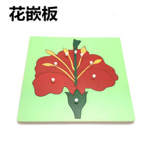 4532eafdc391b4262b0538c6c0839182