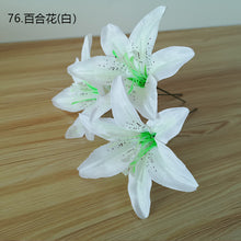 6c7d0582529a2a0d4420f3c21fac44e1