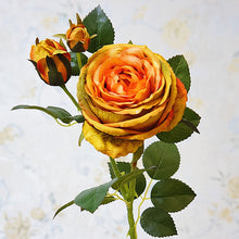 afaa13507551103a95f90011671954bd