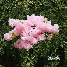 b8c15a55d02a927e39d4dd7a4f34035f