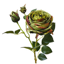 42f3d52254d738d375d2a6d7a77995ee