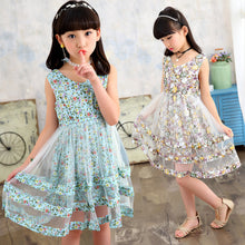 b833f32dd2b87293abda2d45e35233b6