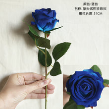 73e2cd721370e661e3db28d045b5f4aa