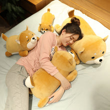 451cd6dbe8dab6e4ae9de20d2fc4e690