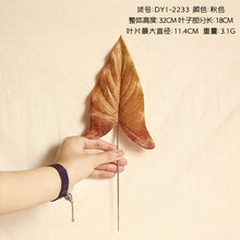 3eb0596ab74bebf4e84fbd6da860ea8a