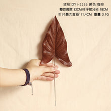 55a9366c405fb9214ffd07274475dff5