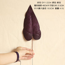 a4bd8449ee5d9f988c98646b24cab4ac