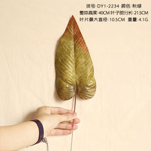 ddbc9f4962bb7d727cfacc5bba2fb448