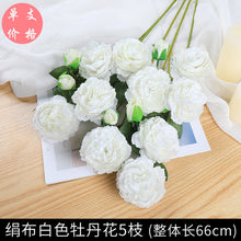 209c1c9e6faad6150218e7f17c64314d