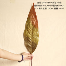 db9cd055fb389127911a50f7bd9c87d0