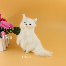 850e11baa3e827f5d6f8f55d9a04be5f