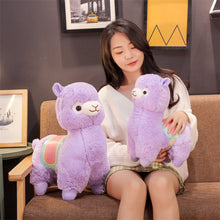 5721a11c9a8bf683efd012a2686d57c8