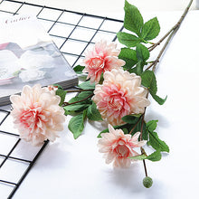 6a34c5dac1d70757d870e2d1bc1f9d72
