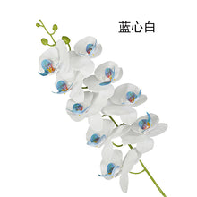 f499846f5606b1a95158cdda3475c06e