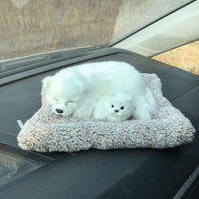 8e736d193515de0fda4cae50459f0984