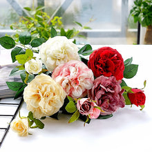 5109eb9b8898d9c477c7264af0aed42c
