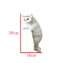 ff62cc6493e3fbec79143be32b1cc809