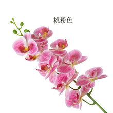 c246049dfe2ce7854d38b8c5268544dd