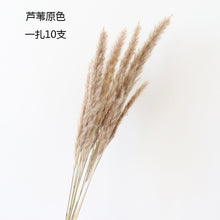 212a7df50869200cff7bc4d12b3435fc