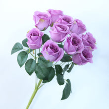 ce5dd95bfa5a643675f2ff0421bda13b