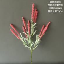 719e4f4856d7d205174bef9fde61343c