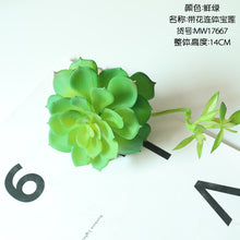 5b5f37a62724e61ec7ab38b1c69adc0f