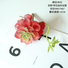 a9714fc0c8e2de9102772488d45ae79a