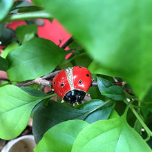 95c7f3d1d4f9d5337bf829f92b72056e