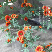 fd11b700364e38a5c3088e9697f24a9b