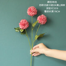 8a5d653971fc0a0a7d8834cd2519bd40