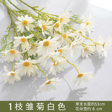 a6ed6c352ca3ca0dacf8ae89a9ff3c80