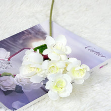 be30459c0bf8e090677f8ac952fb3f70