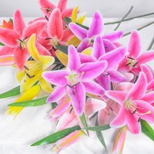 cfd197ec3810e5cbb5f9c8ab0968fe0b