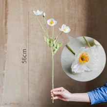 07f9b736a49f1f6f73ca50d7631bb00c