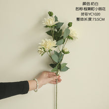 c0fb324ecf38167895907a9ebdc5affc