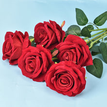 8070de188f4b11cb37e80d85b58a7261