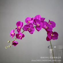 2ebb7e606cc5709e84cd7a2b8195ef99