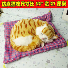 c1ff00d196c73dde87a531c04025b697