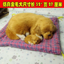 f010b02df5c613e3cf3d6751e0adef20