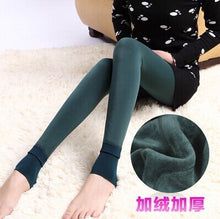 55e4a5570b2a703b577ab6e6ec01176f