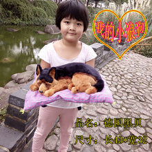 929cba83153430d499d8f1be84026764