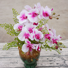 74bd95e8798fb9bd3d8125214d3c79f4
