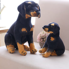3d488453401cbffce81e237176dd7383