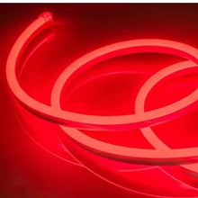 Neón FLEX 220V (Unidad)/LED Signo De Manguera AC 220V Metro Luz De Techo
