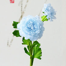 1cd946293b38f9a52ab98958c9df70b6