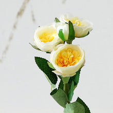 f160a5ee1f4cc4bacb3c0446a53c20ad