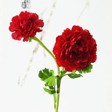 12d1615217fd44b0efd5c6004b52c6bb