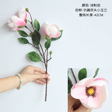 858702db818015af3c16e39ba78e1a33