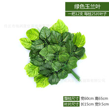 bcb3cb627ba360197cce7be14b2436e5